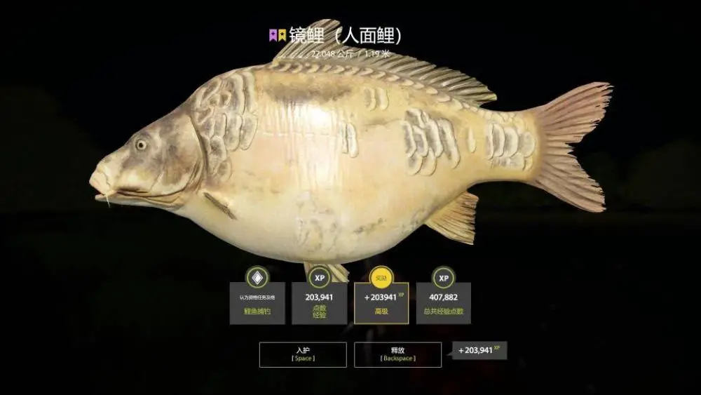 Trophy The Amber Lake