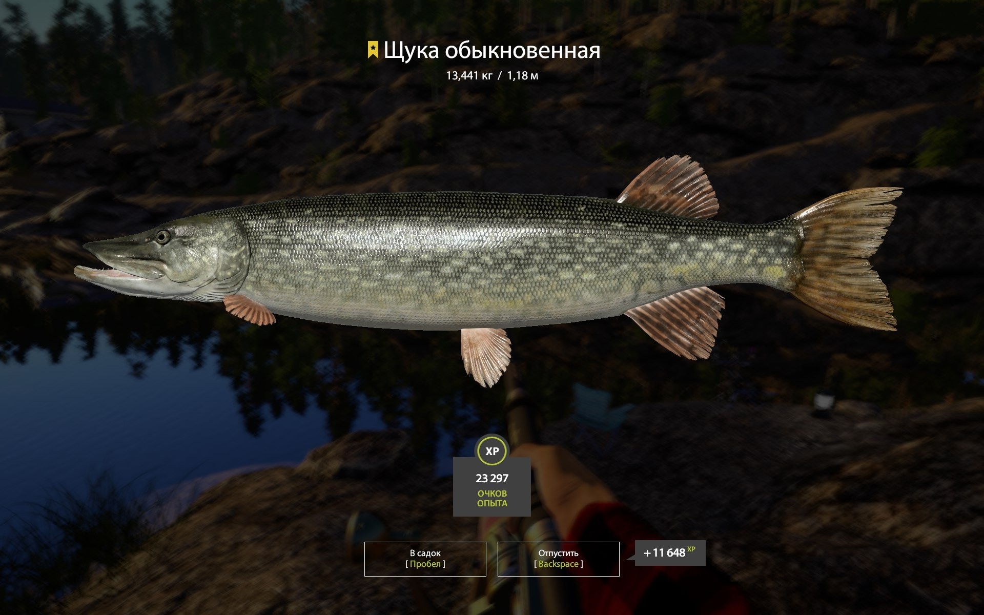 Trophy Ladoga Lake
