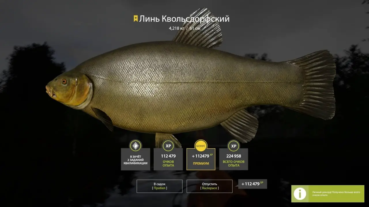 Trophy Copper lake