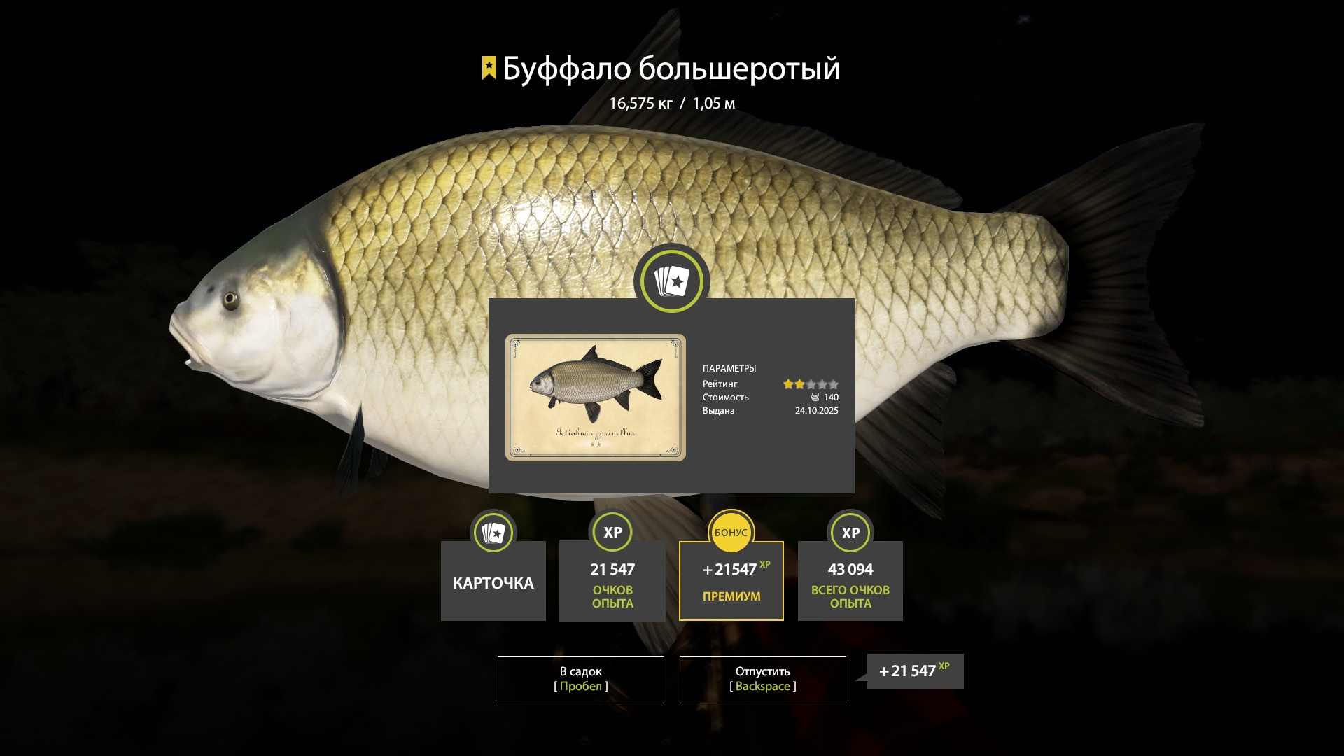 Trophy Akhtuba River
