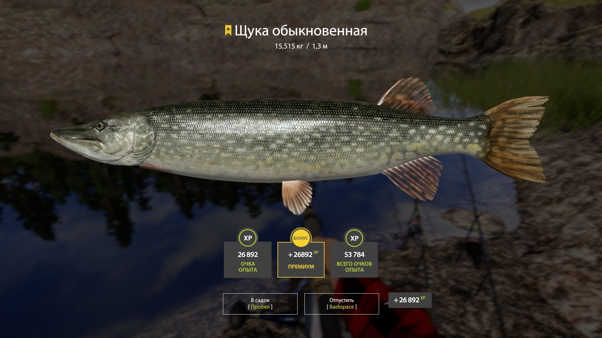 Trophy Ladoga Lake