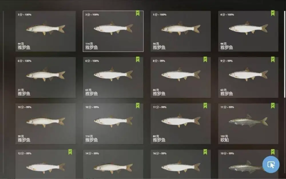 Trophy Volkhov River