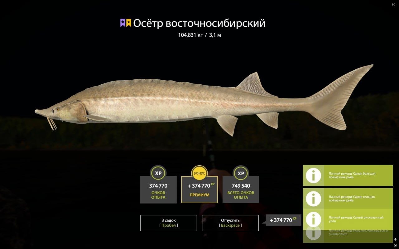 Trophy Lower Tunguska River