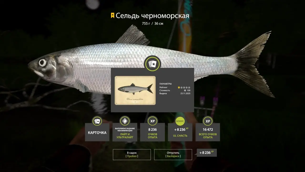 Trophy Seversky Donets River