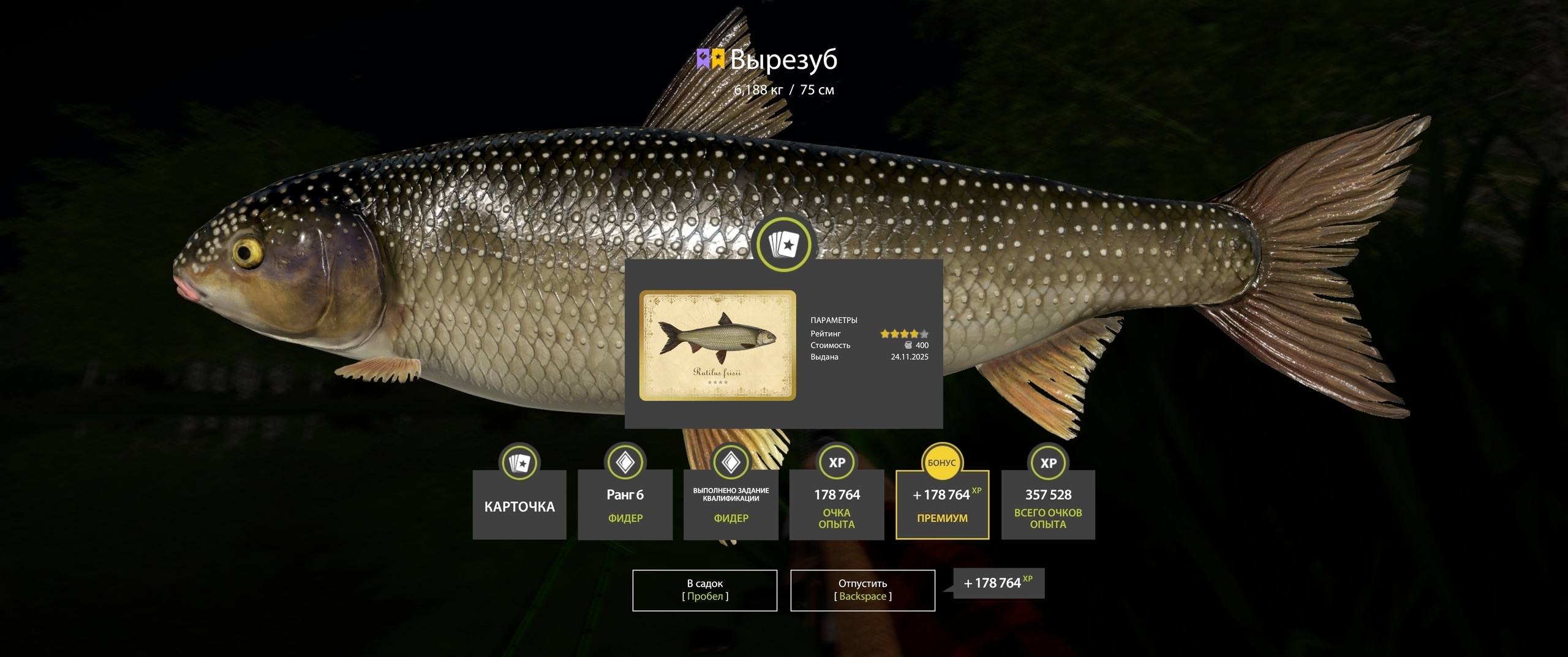 Trophy Seversky Donets River