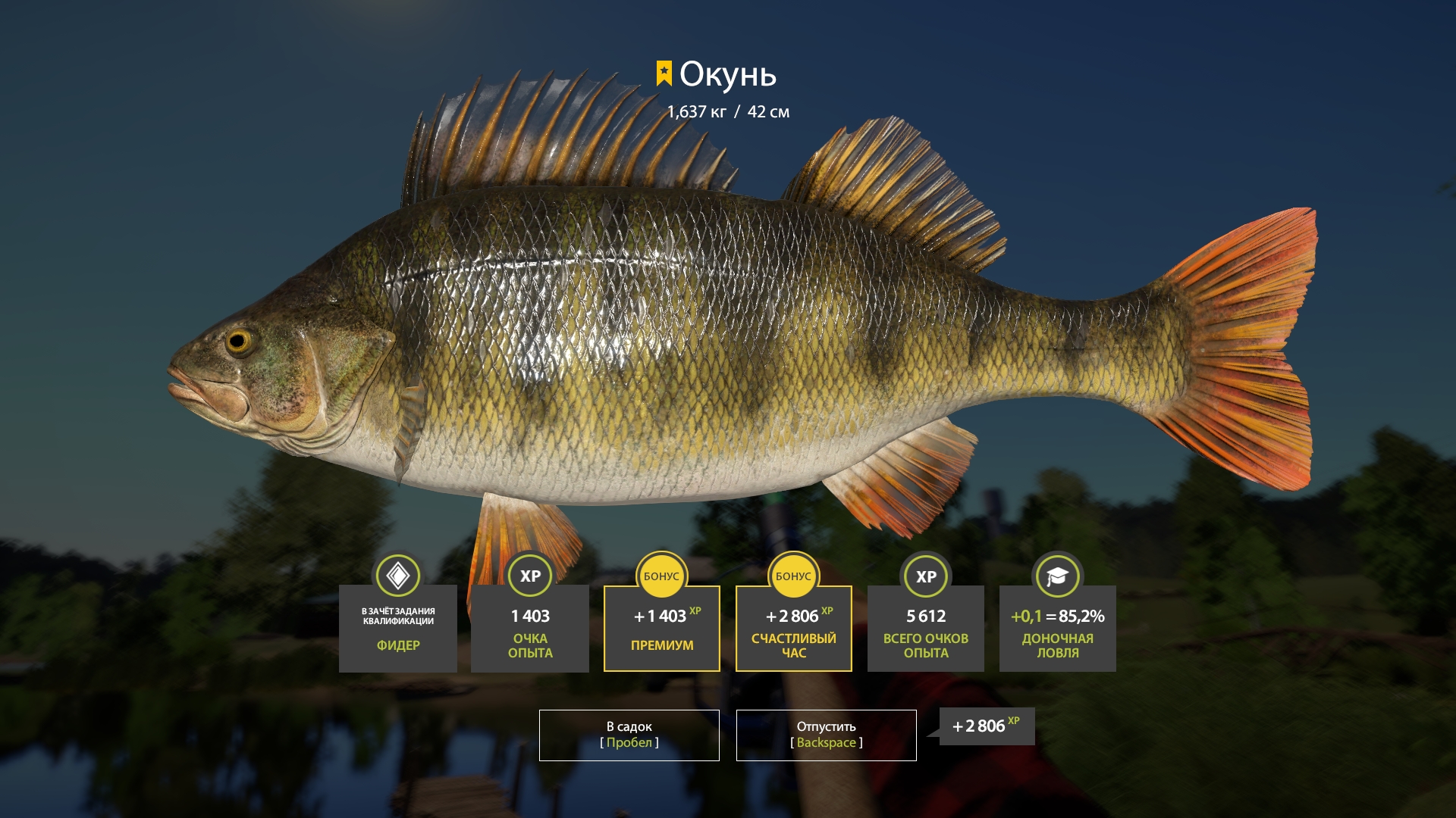 Trophy Mosquito Lake