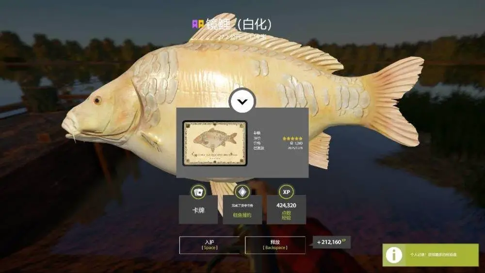 Trophy The Amber Lake