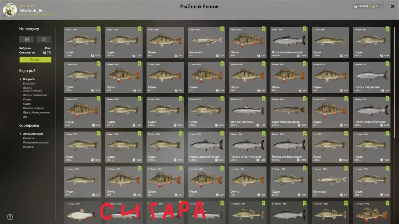 Trophy Ladoga archipelago