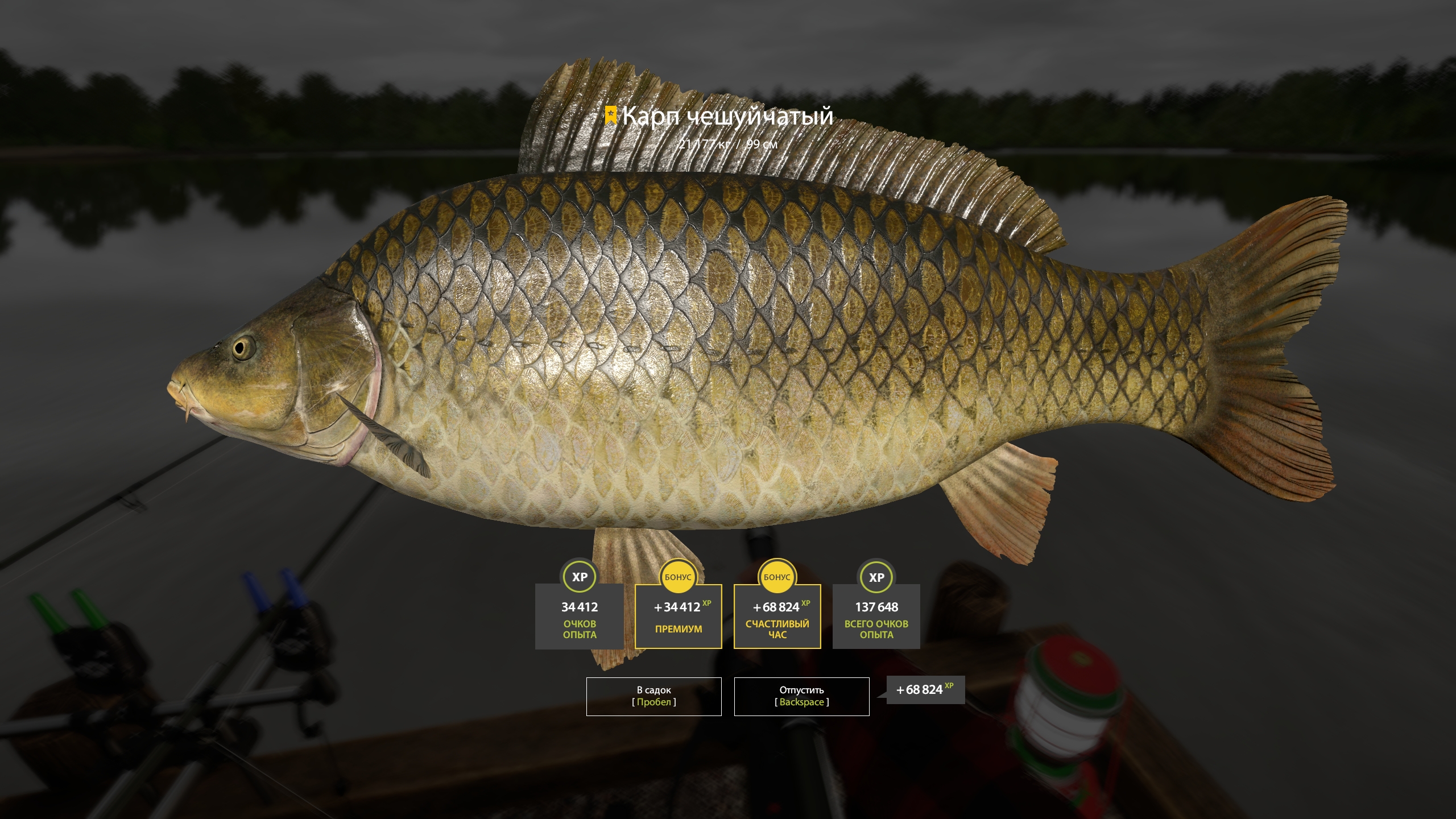 Trophy The Amber Lake