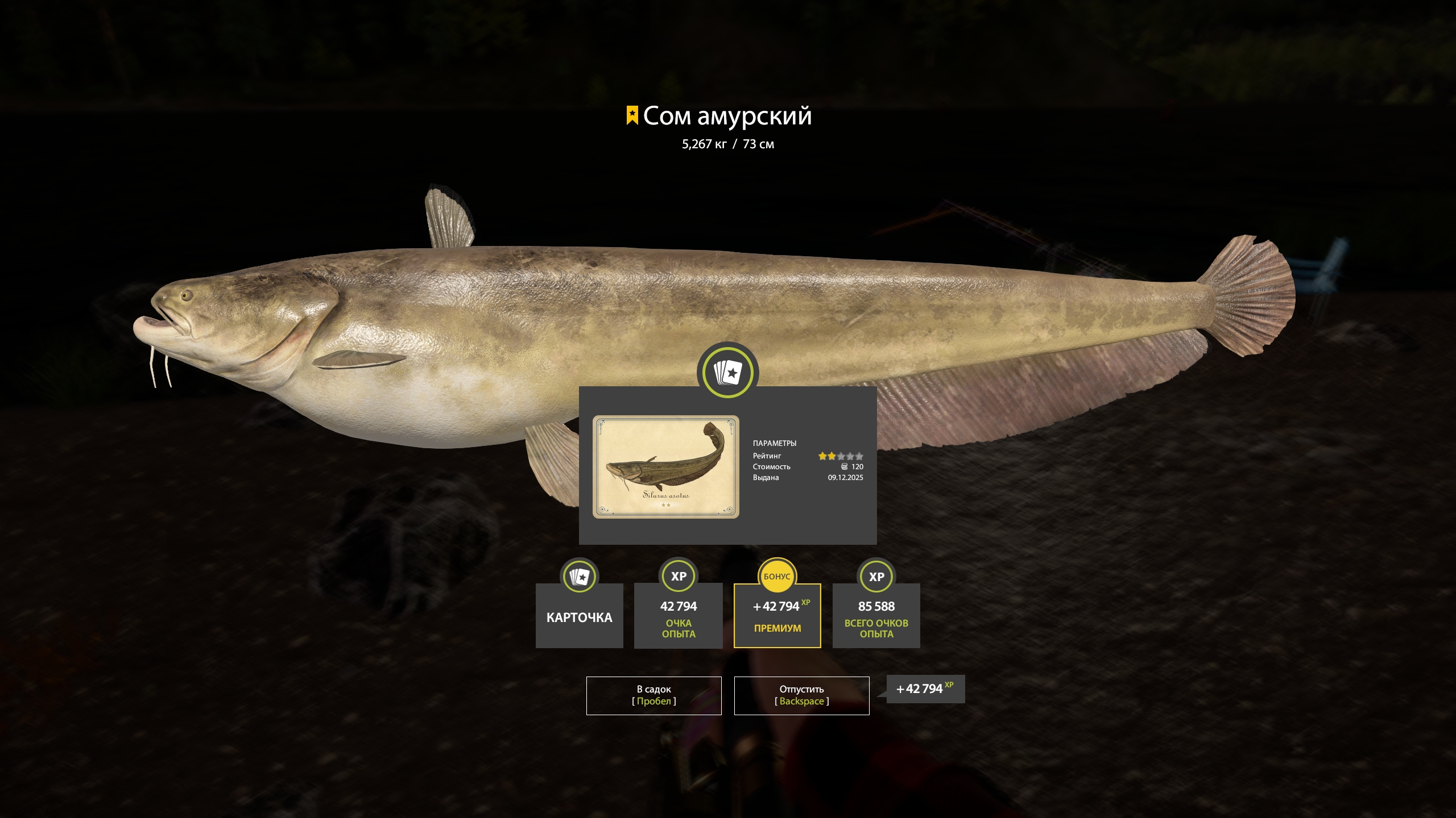 Trophy Lower Tunguska River