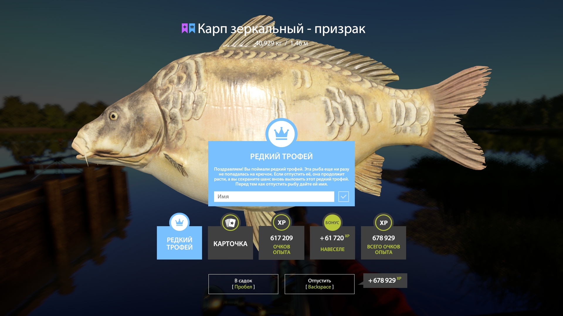 Trophy The Amber Lake