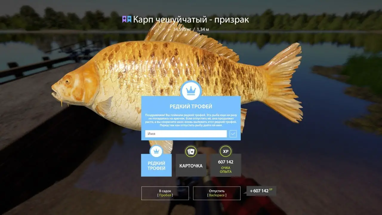 Trophy The Amber Lake