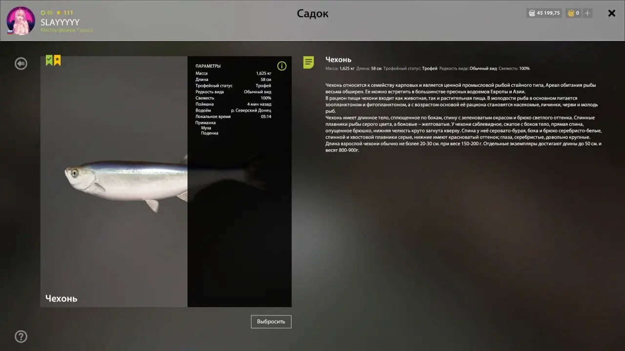 Trophy Seversky Donets River