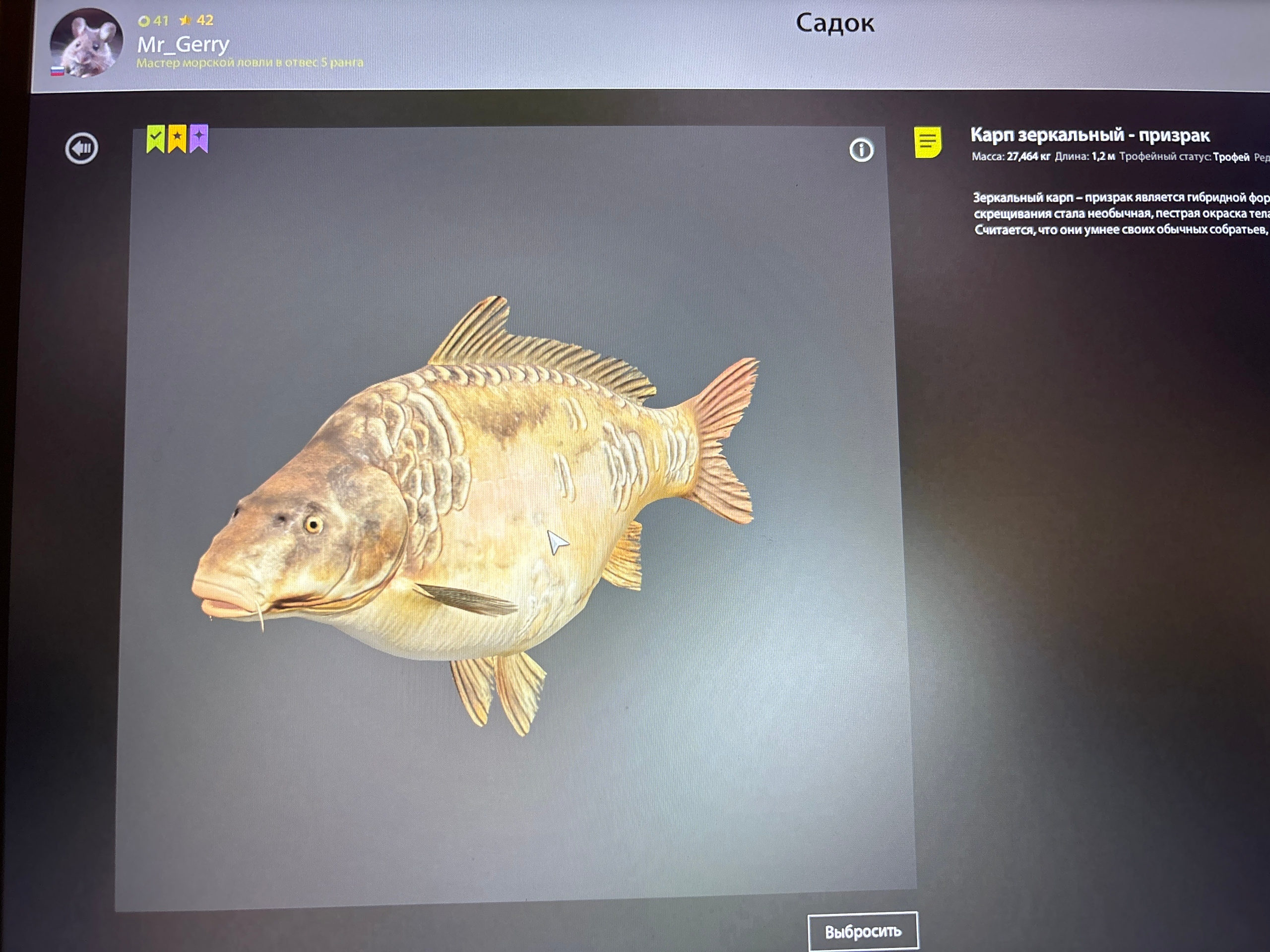 Trophy The Amber Lake