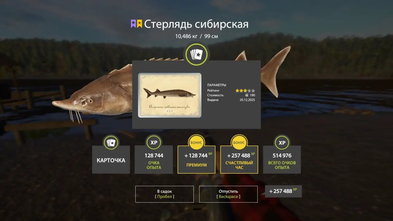 Trophy Lower Tunguska River