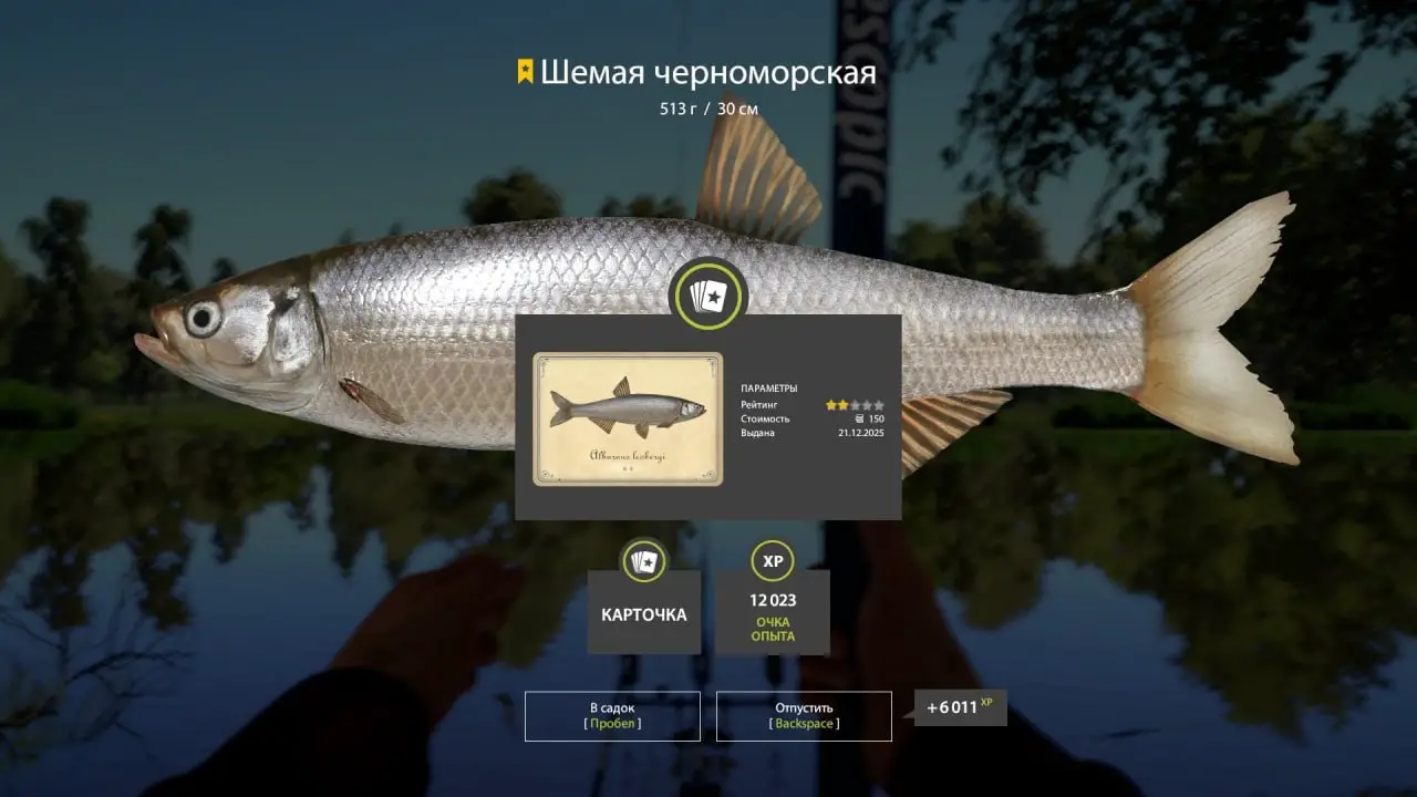 Trophy Seversky Donets River