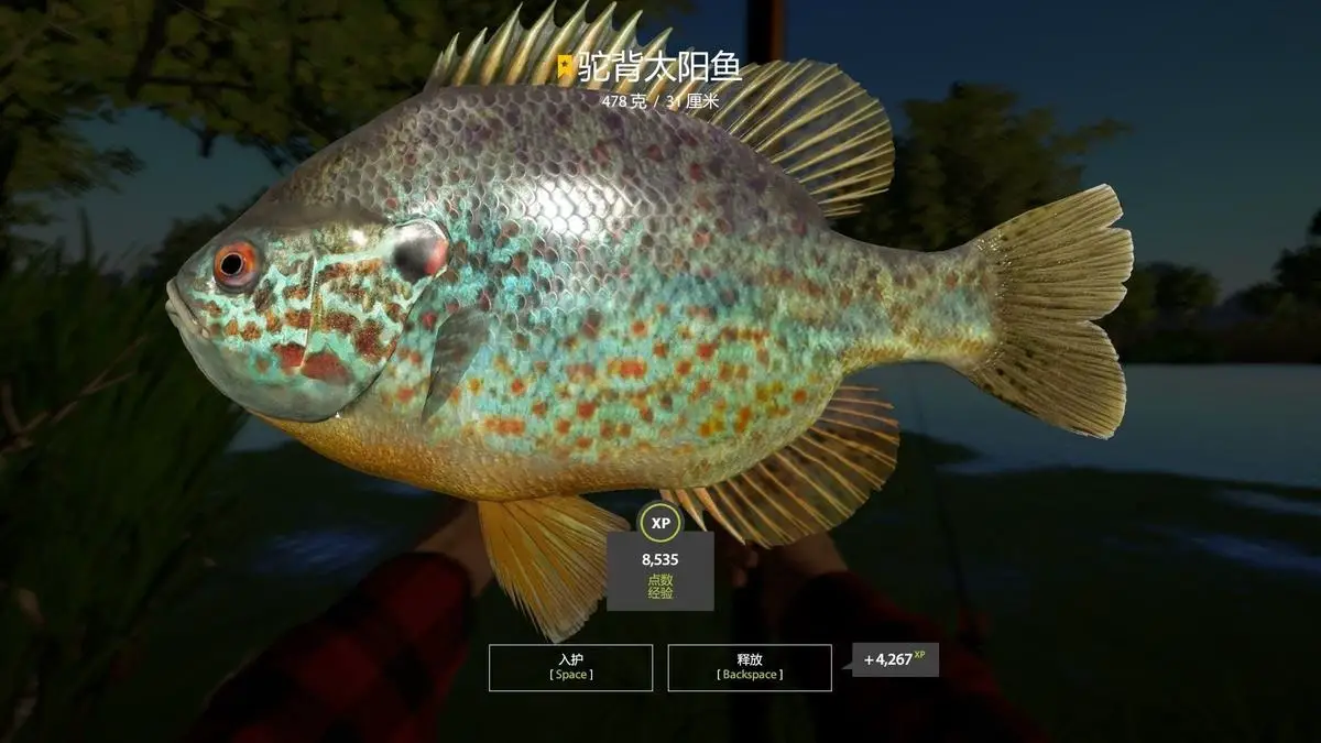 Trophy Seversky Donets River