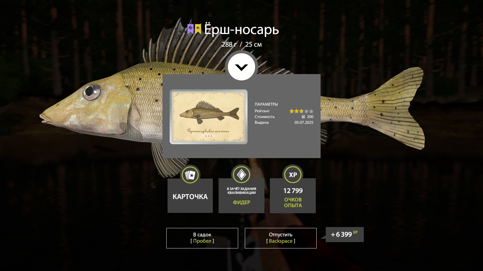 Trophy Winding Rivulet