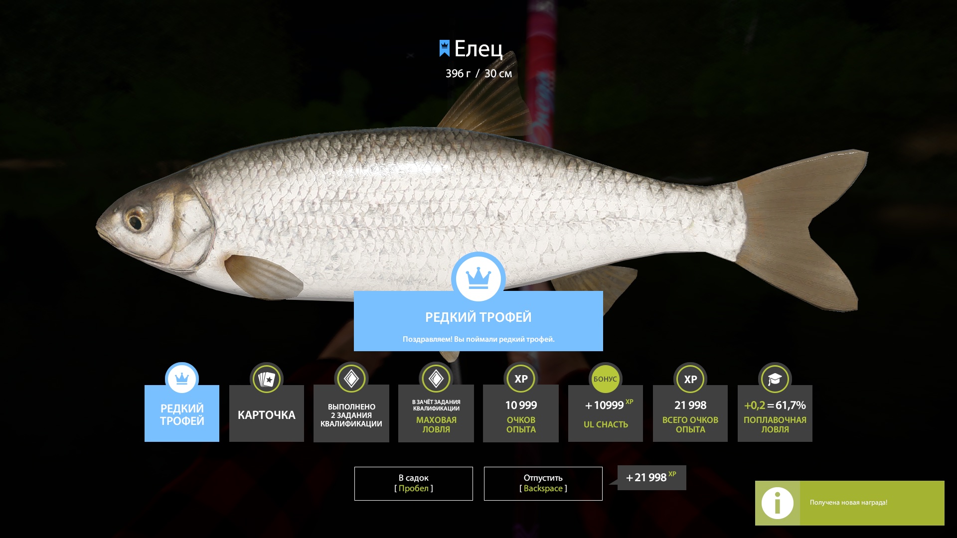 Trophy Winding Rivulet