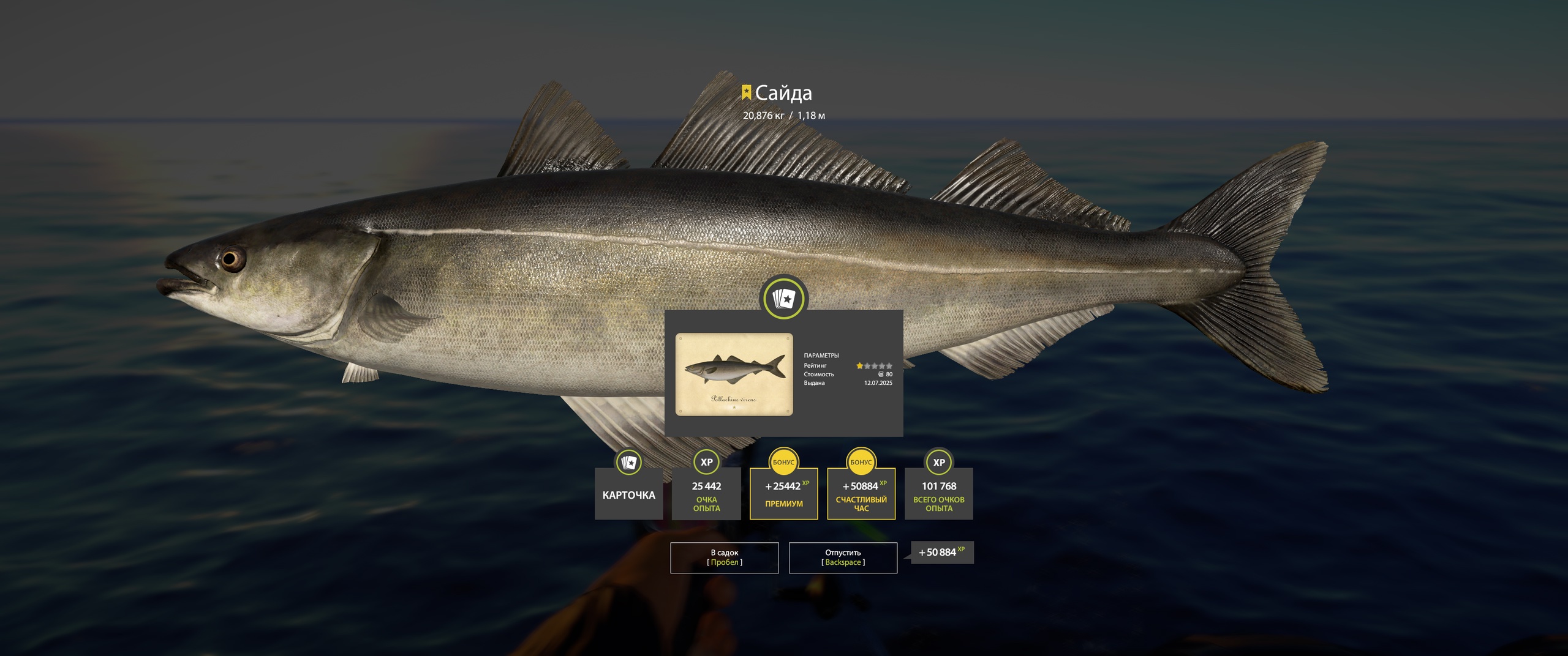 Trophy Norwegian Sea