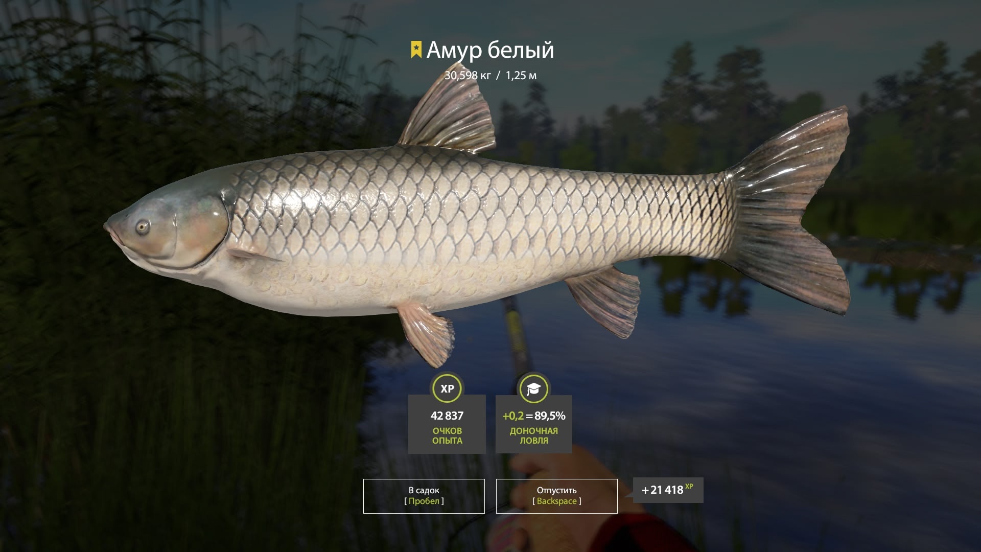 Trophy Bear Lake