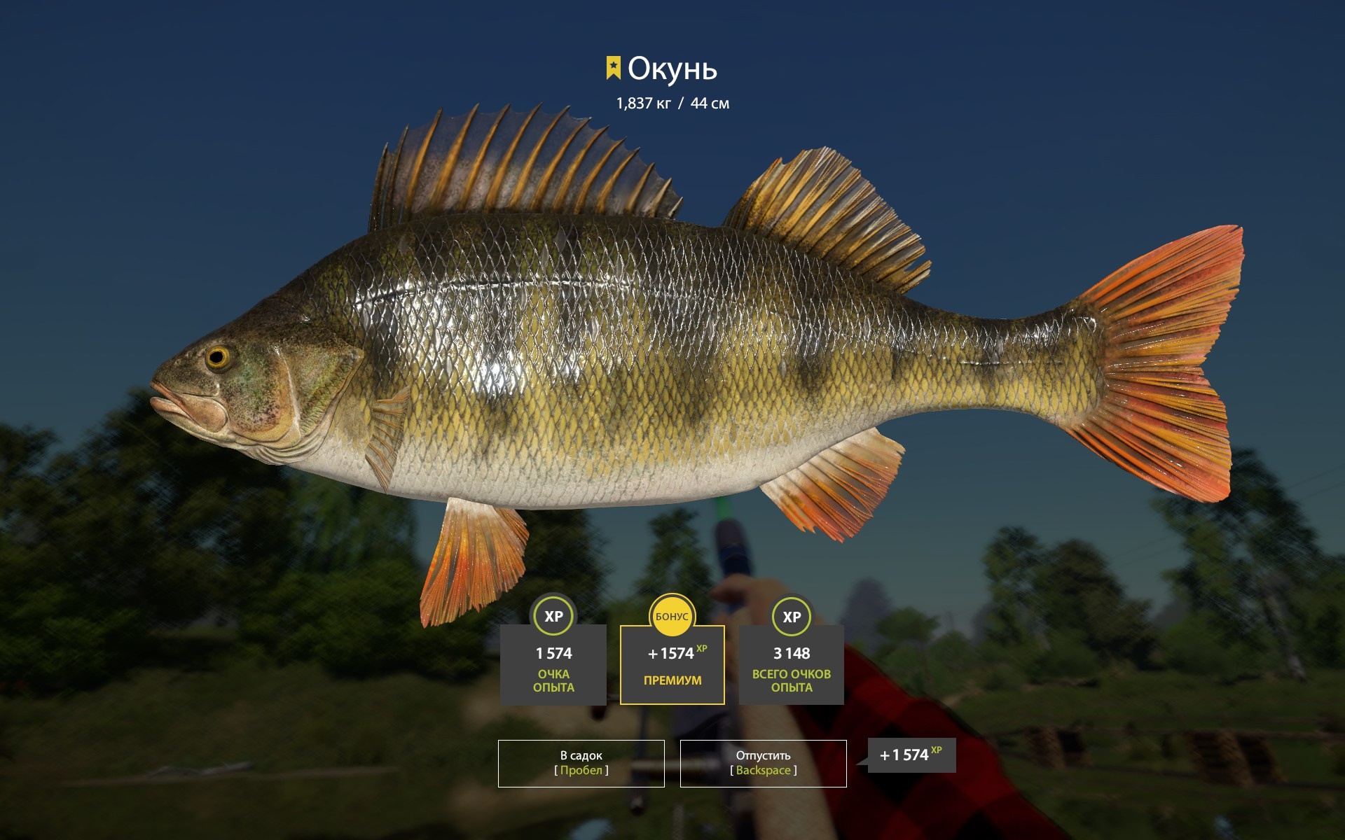Trophy Winding Rivulet