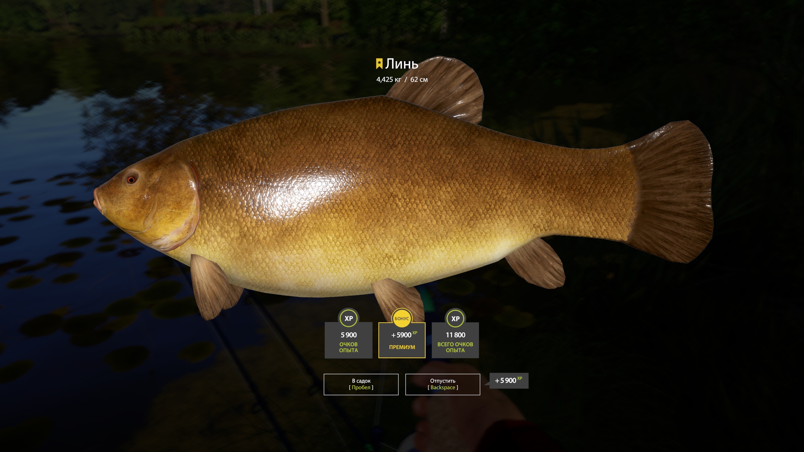 Trophy Copper lake