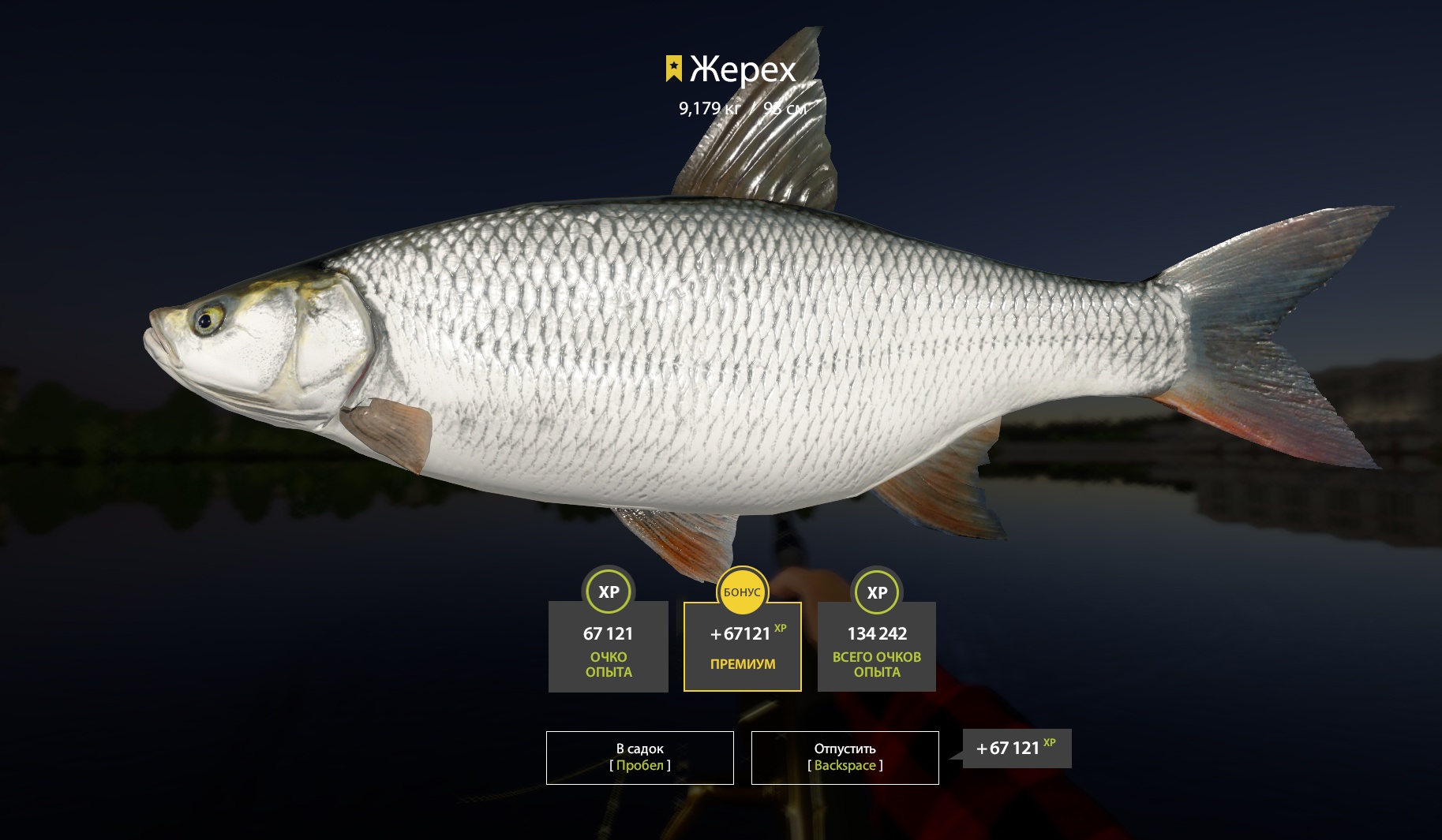 Trophy Volkhov River