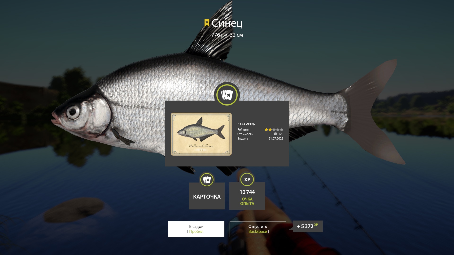 Trophy Volkhov River