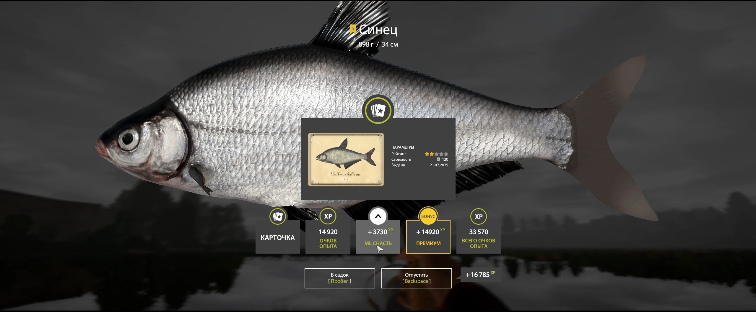 Trophy Volkhov River