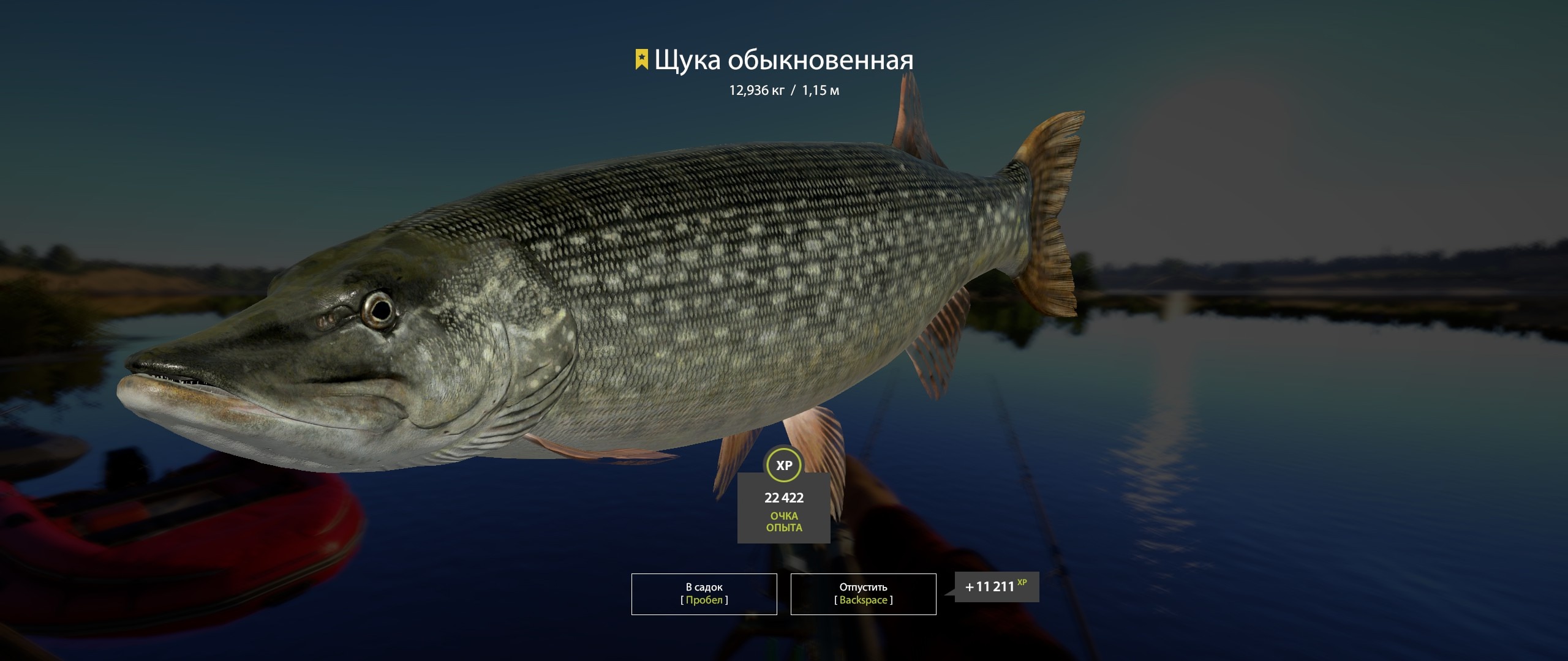 Trophy Volkhov River