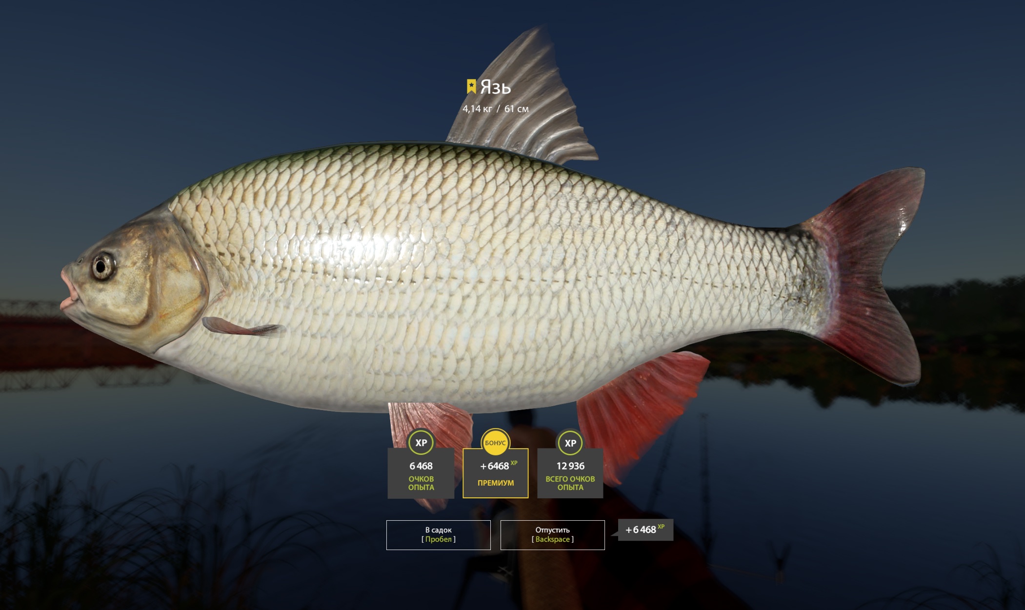 Trophy Volkhov River