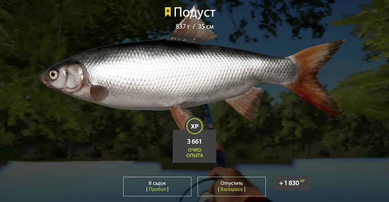 Trophy Seversky Donets River