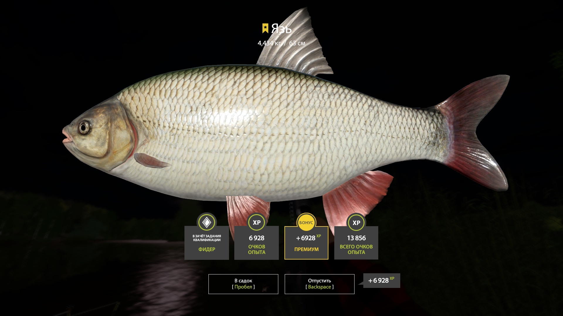 Trophy Mosquito Lake