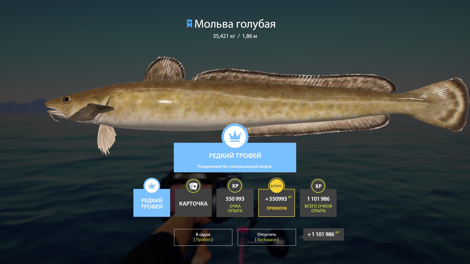 Trophy Norwegian Sea