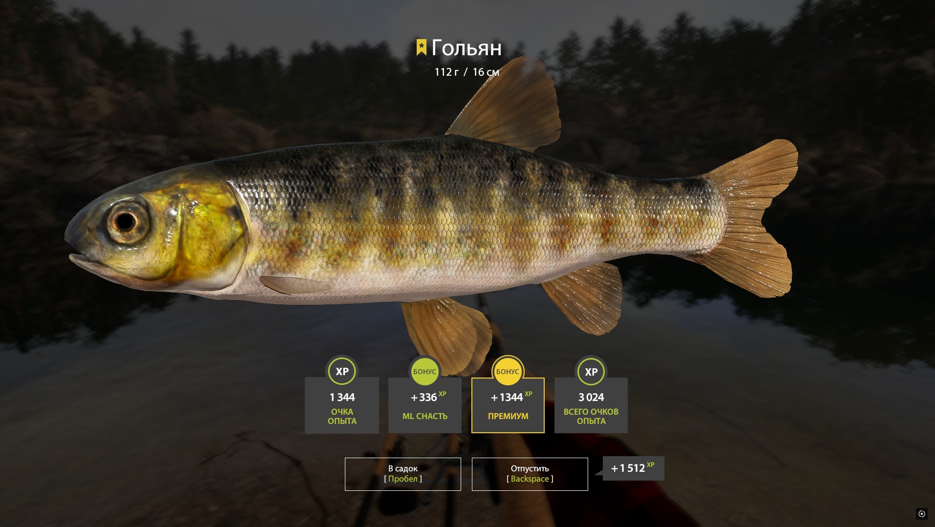Trophy Kuori Lake
