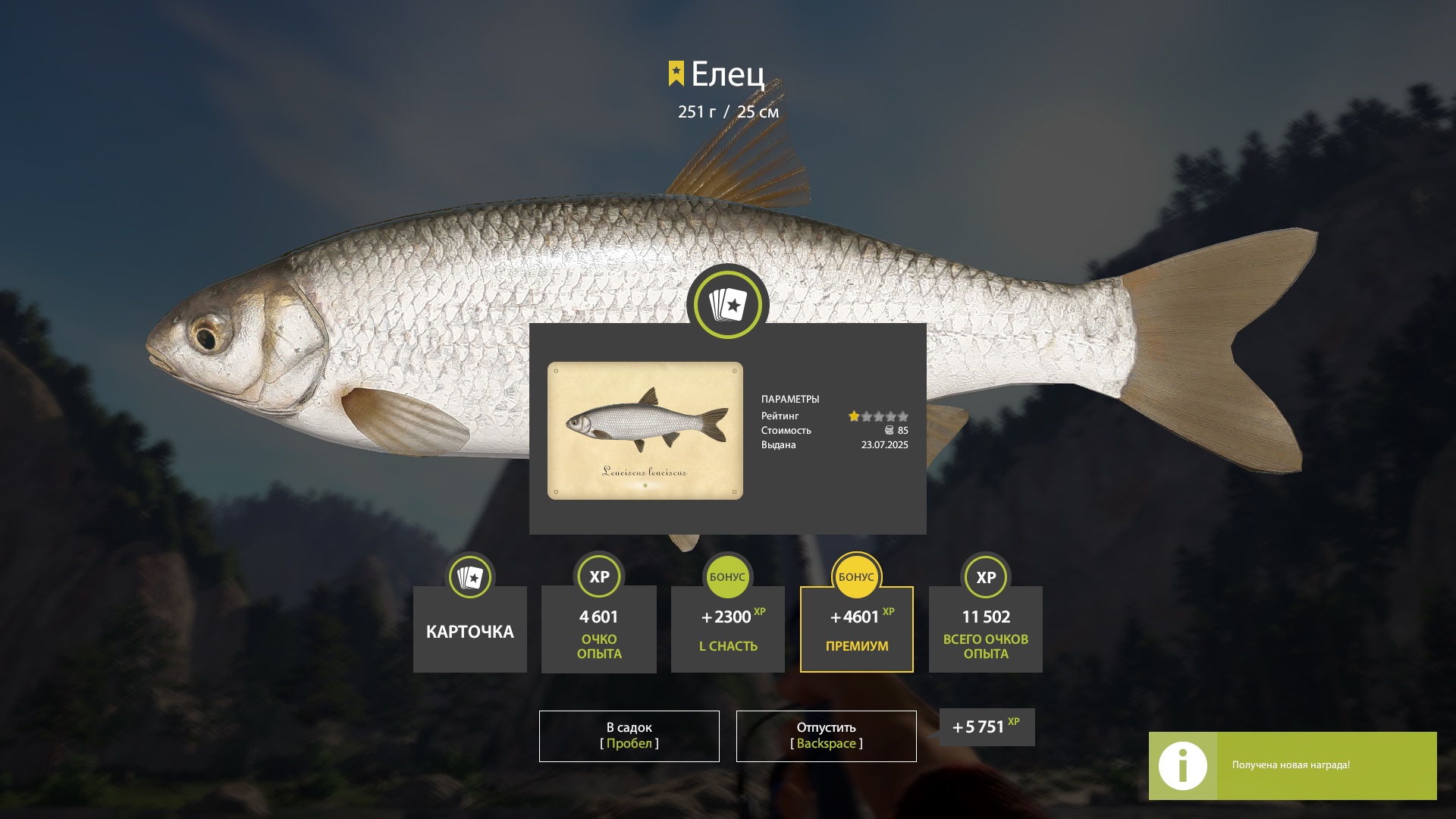 Trophy Belaya River