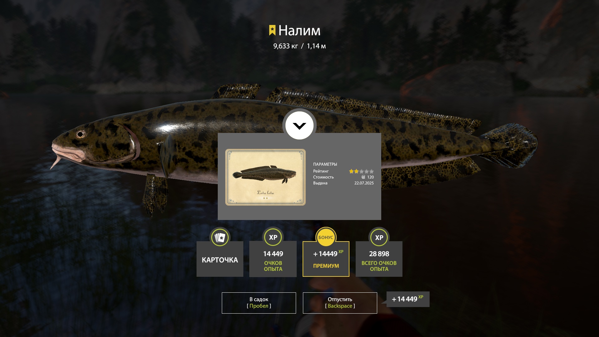 Trophy Belaya River