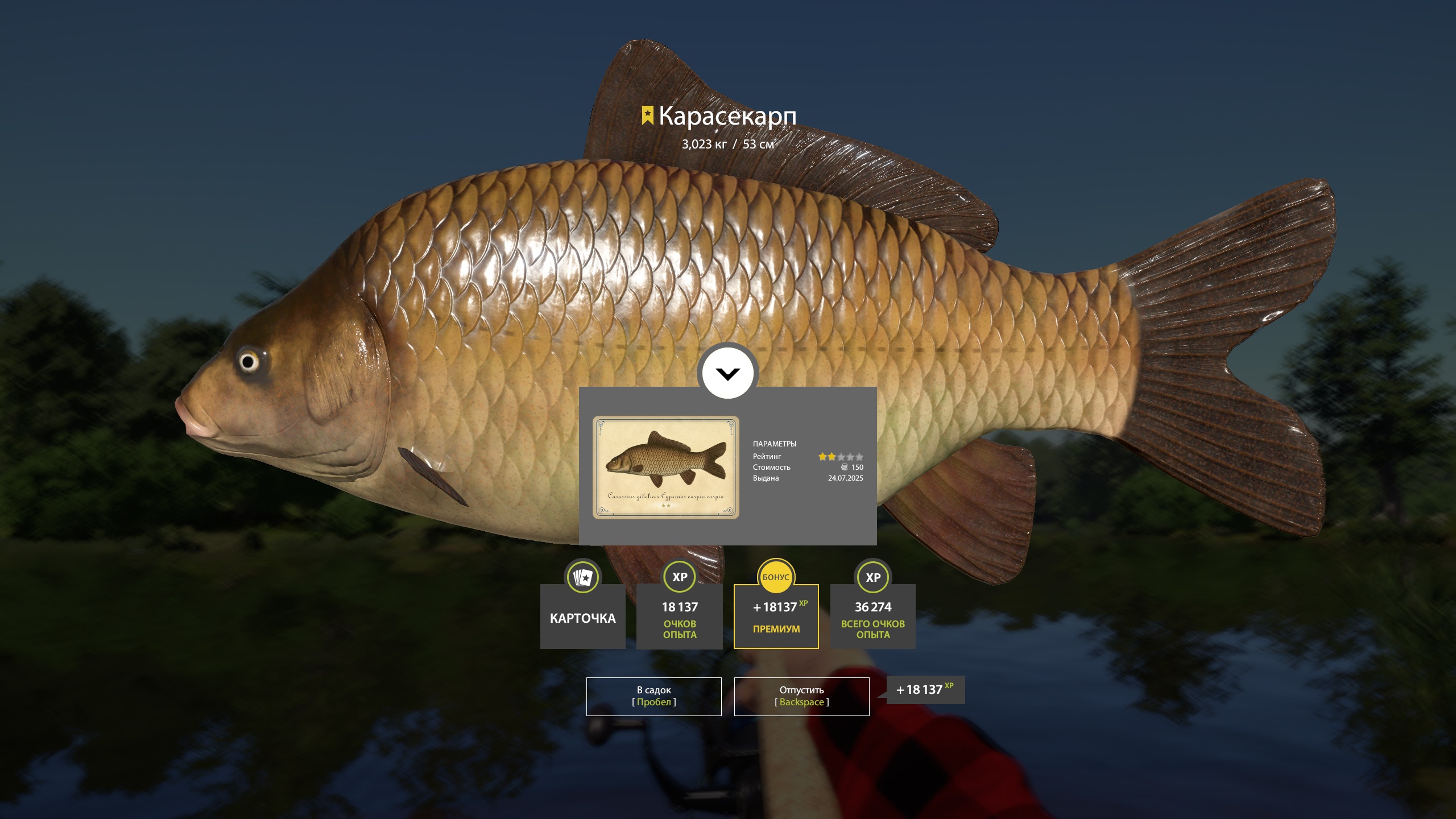 Trophy Copper lake