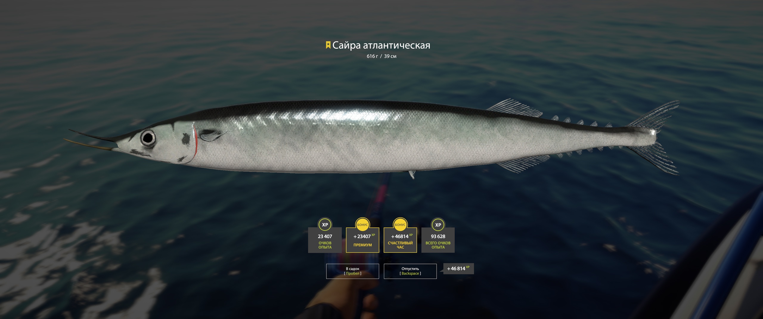 Trophy Norwegian Sea