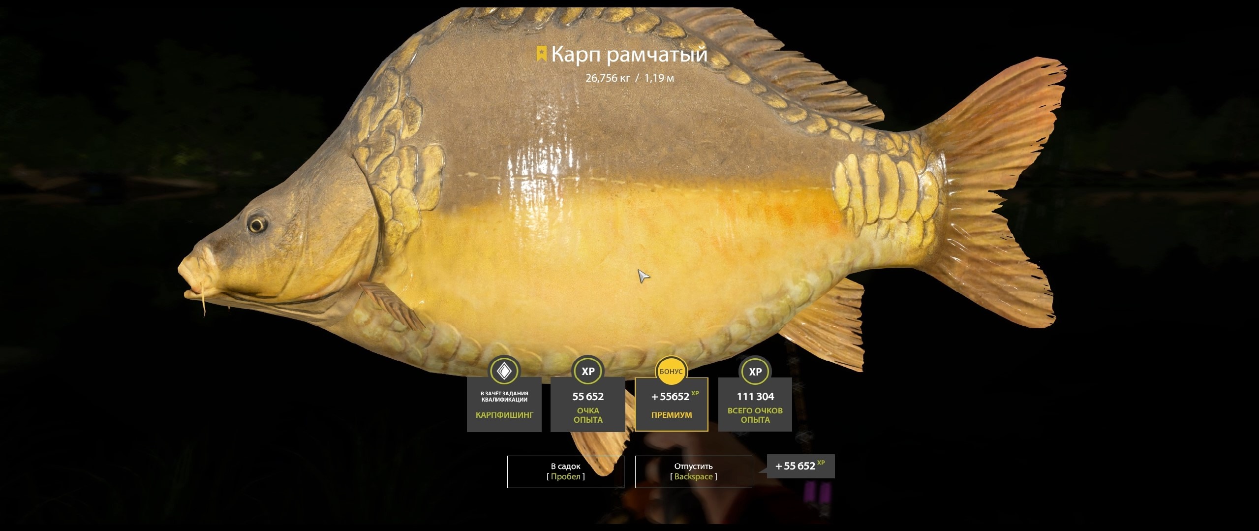 Trophy The Amber Lake