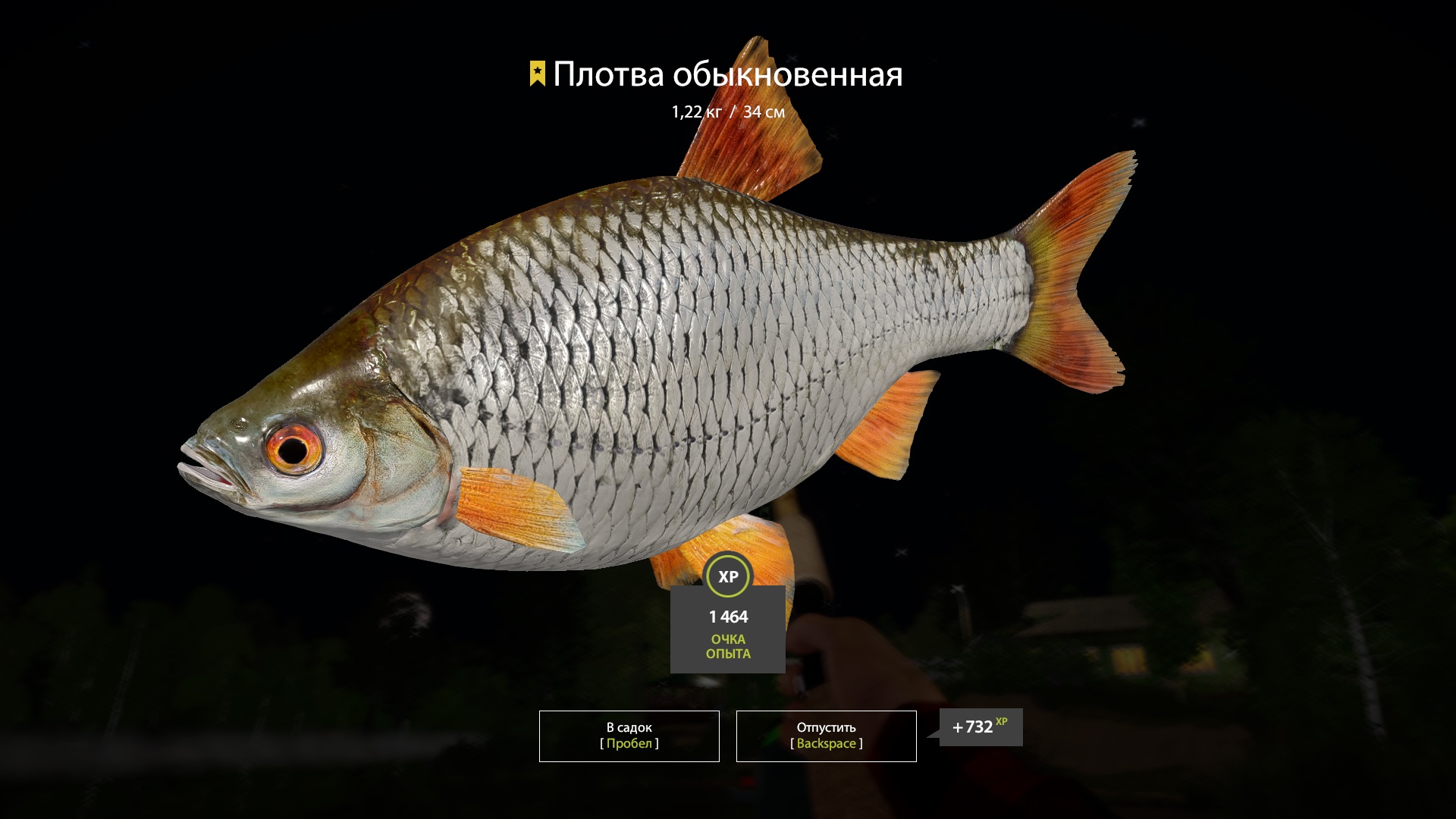 Trophy Mosquito Lake