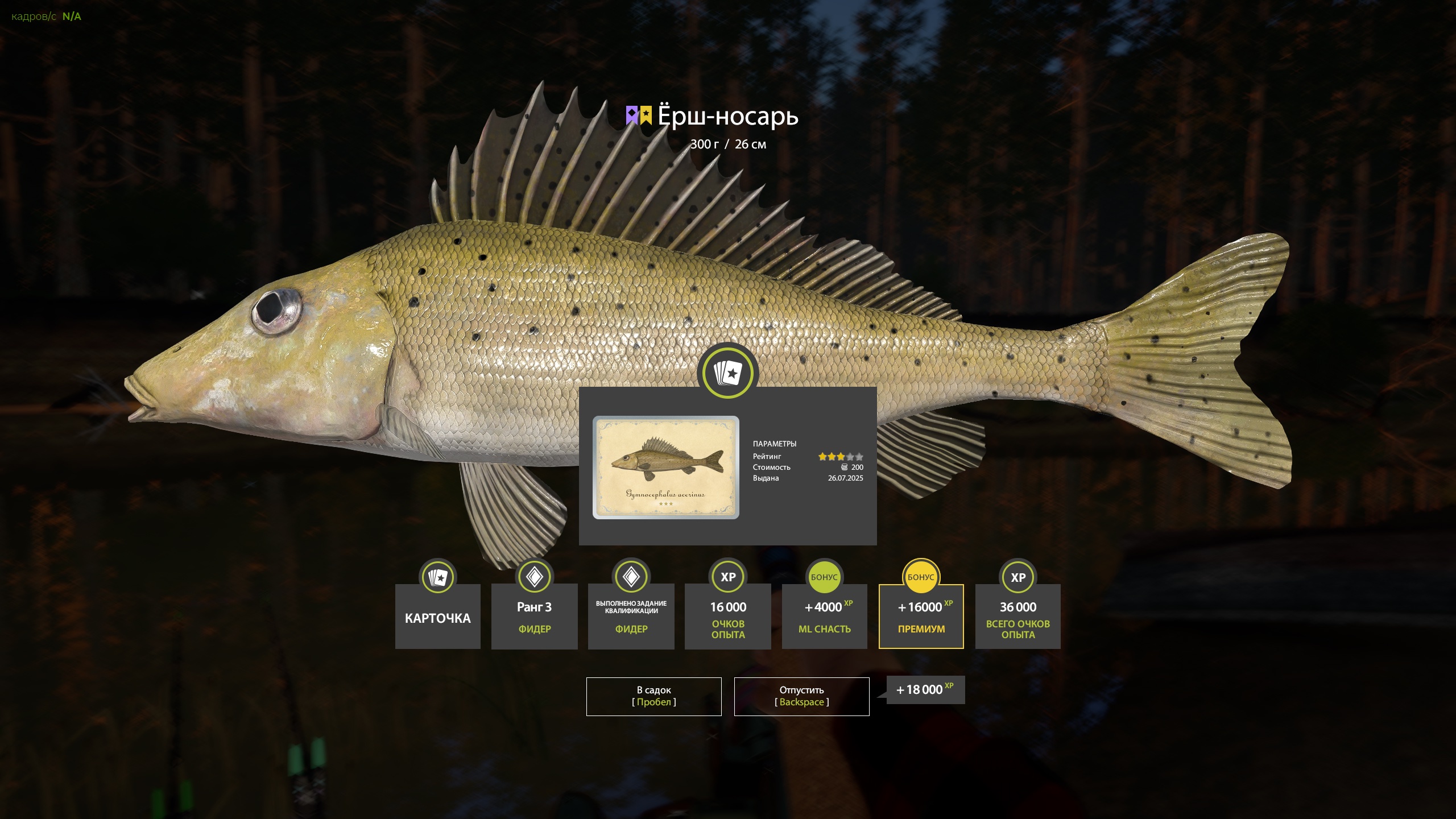Trophy Winding Rivulet