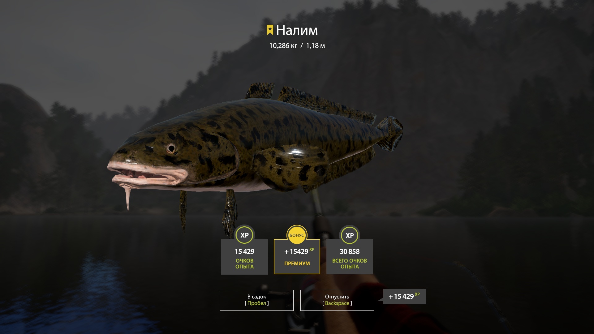 Trophy Belaya River