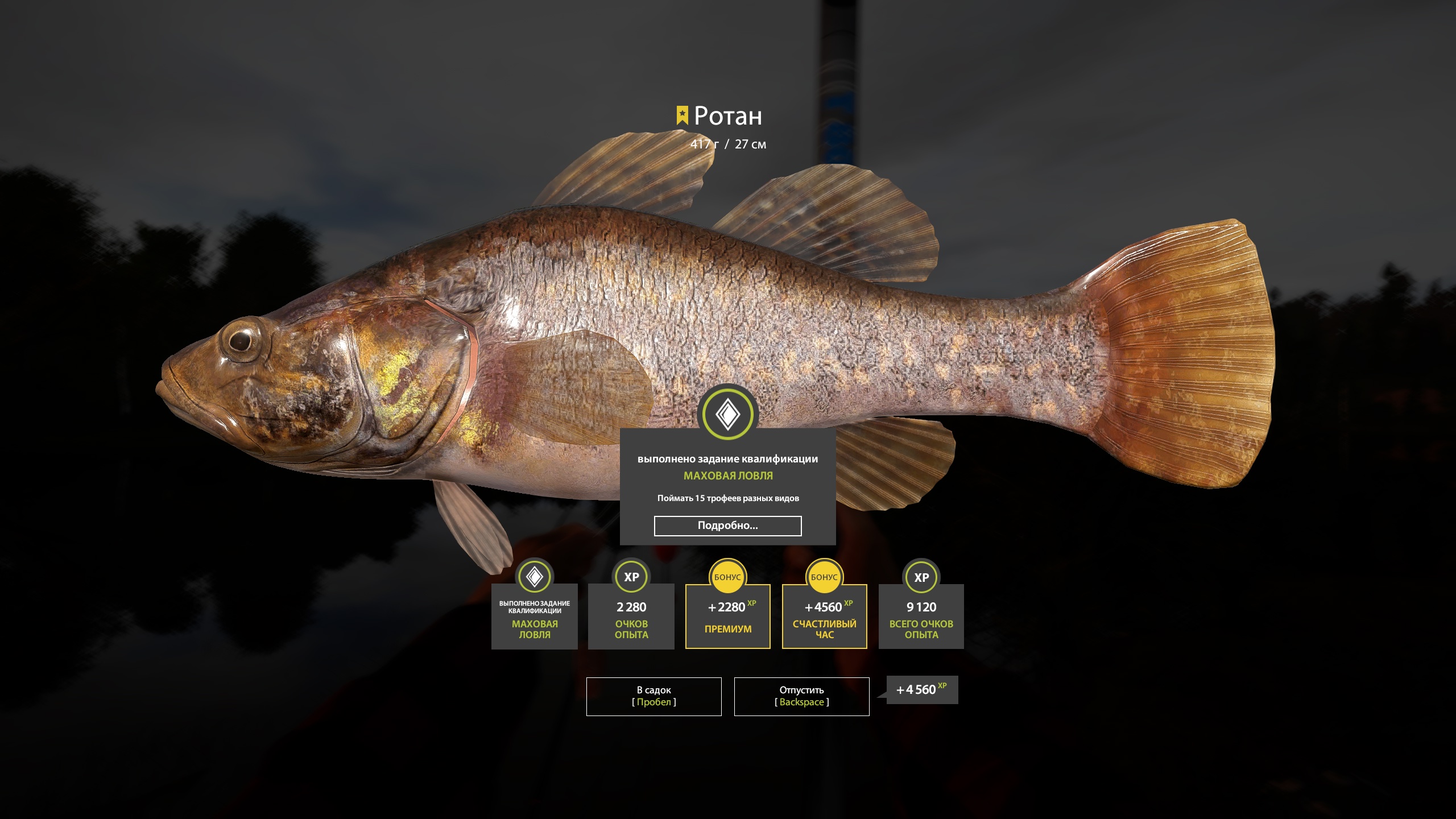 Trophy Mosquito Lake