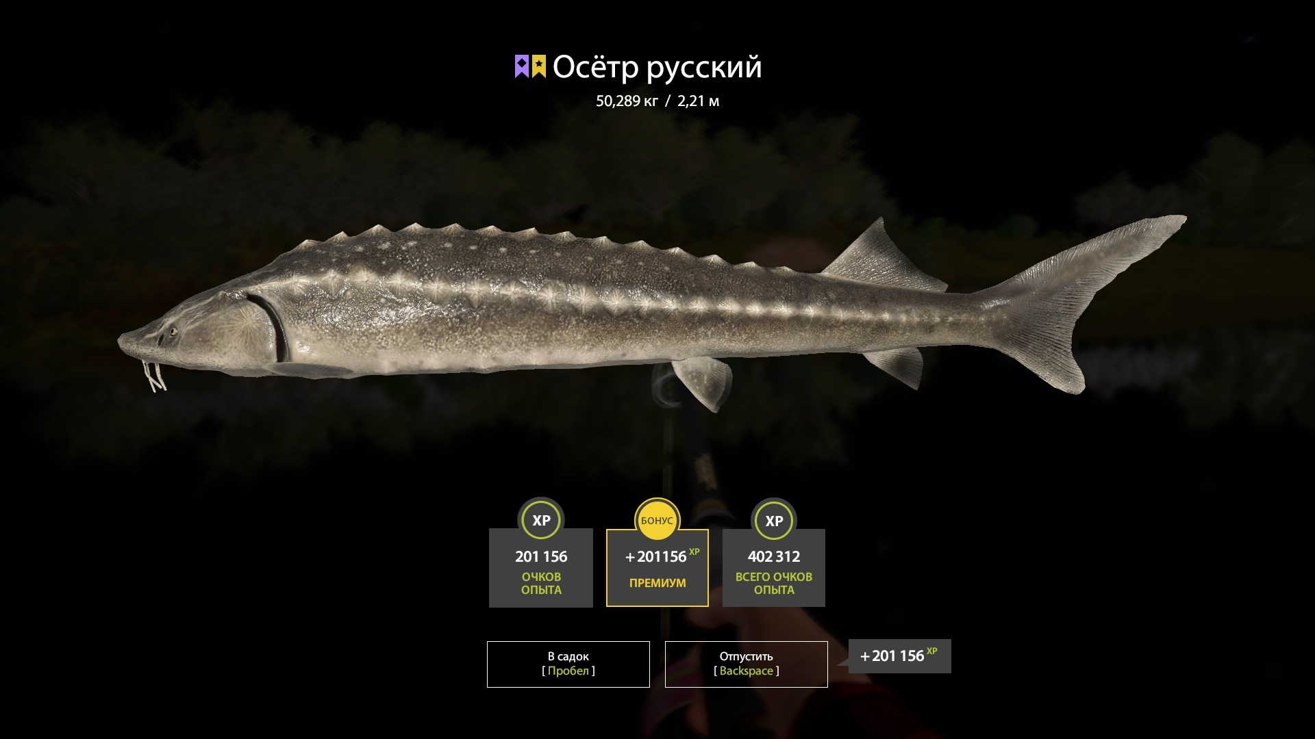 Trophy Akhtuba River