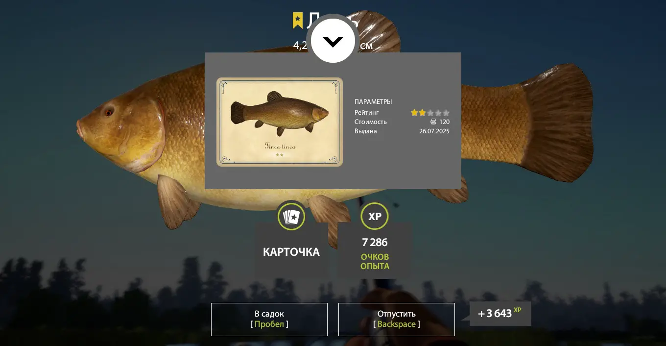 Trophy Bear Lake