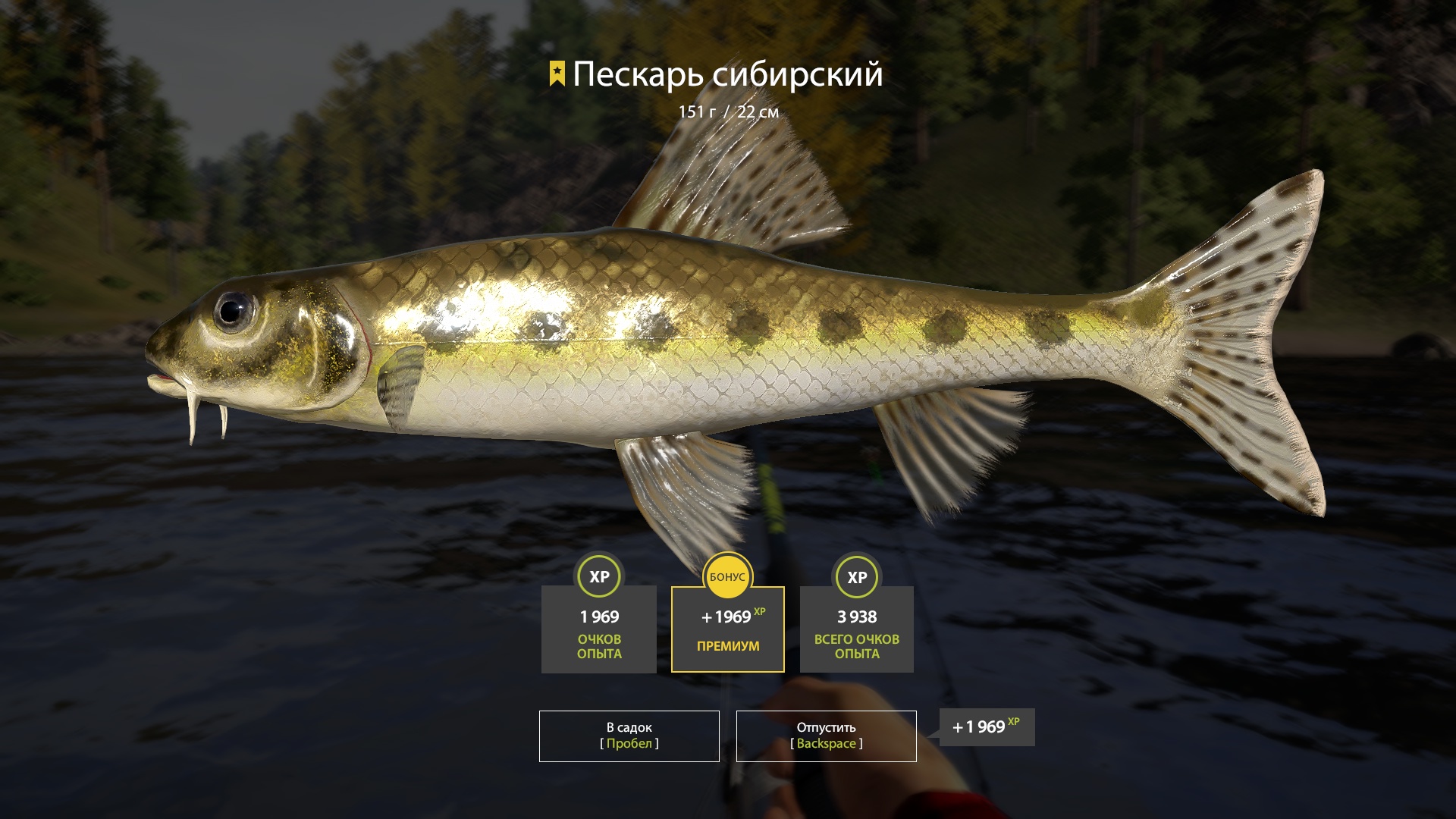 Trophy Lower Tunguska River
