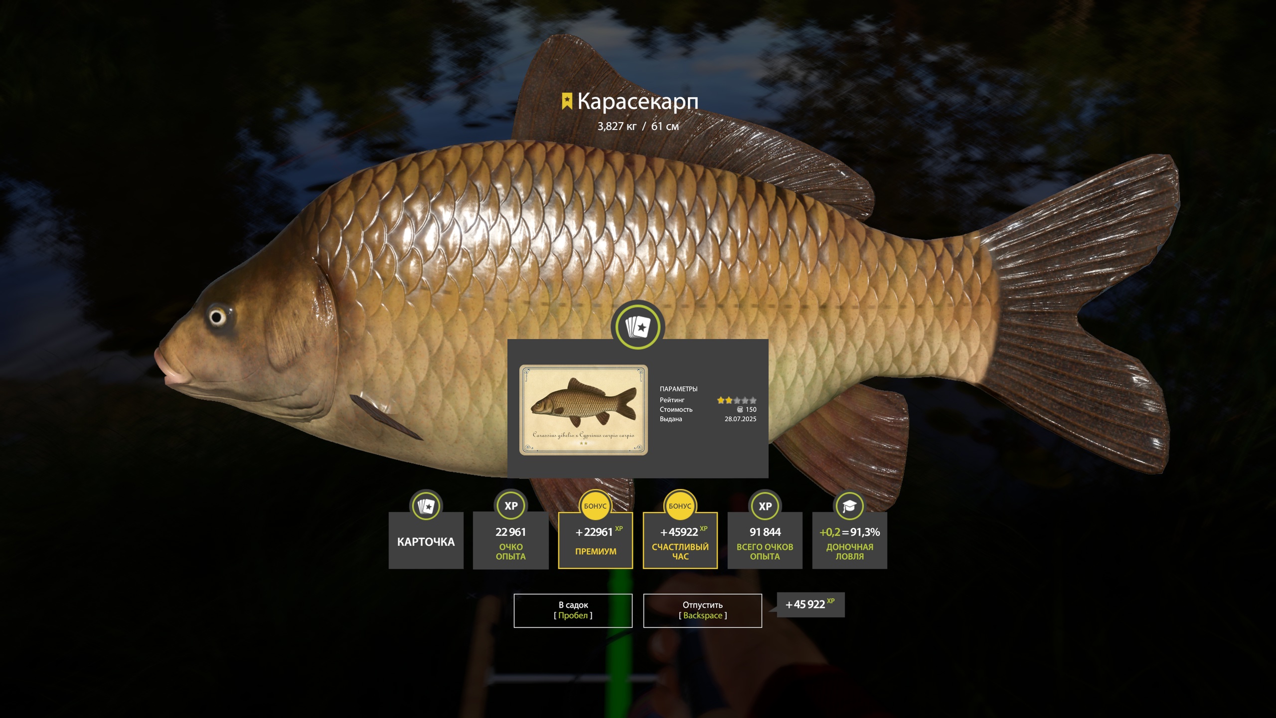 Trophy Copper lake