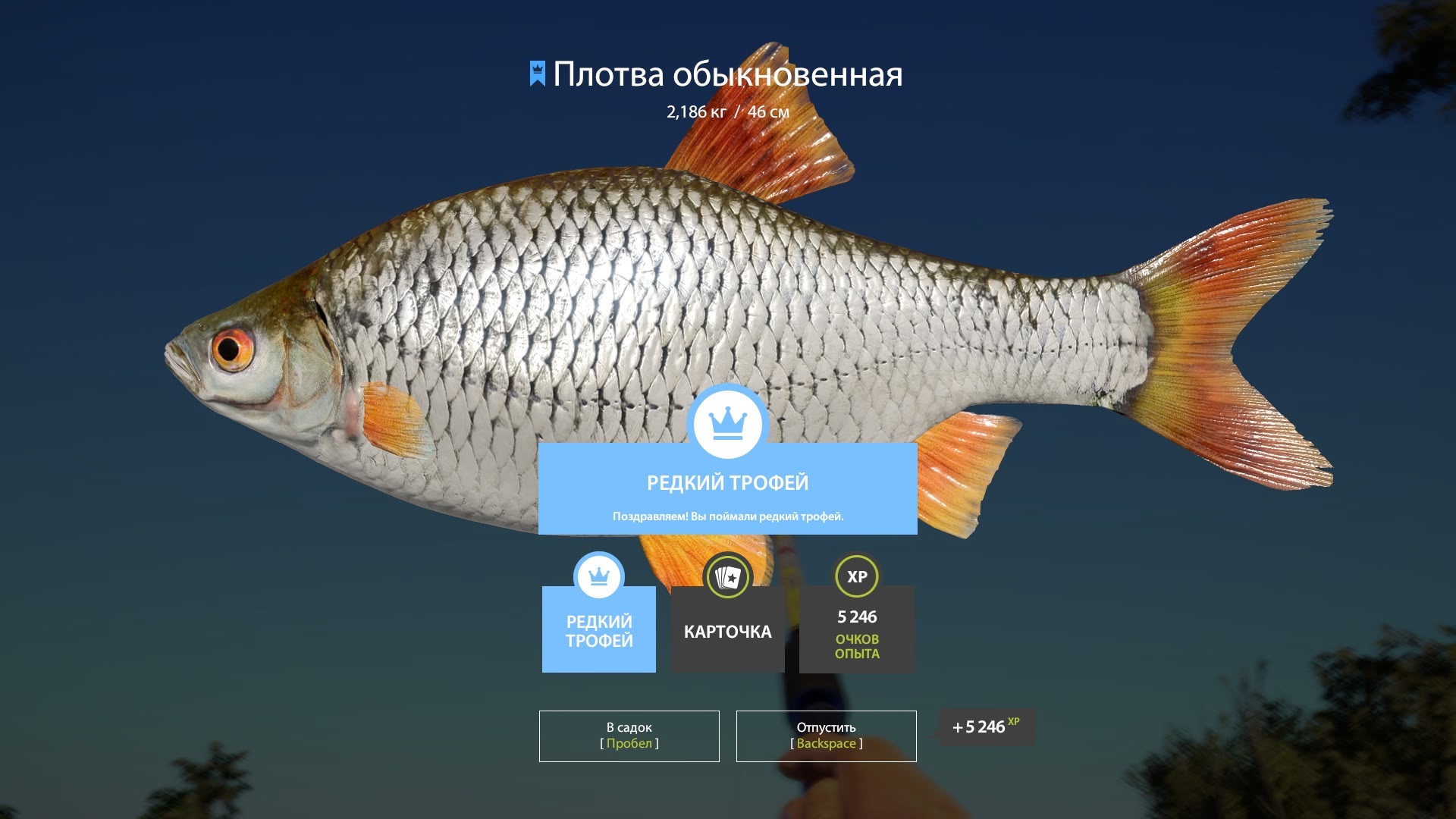 Trophy Akhtuba River